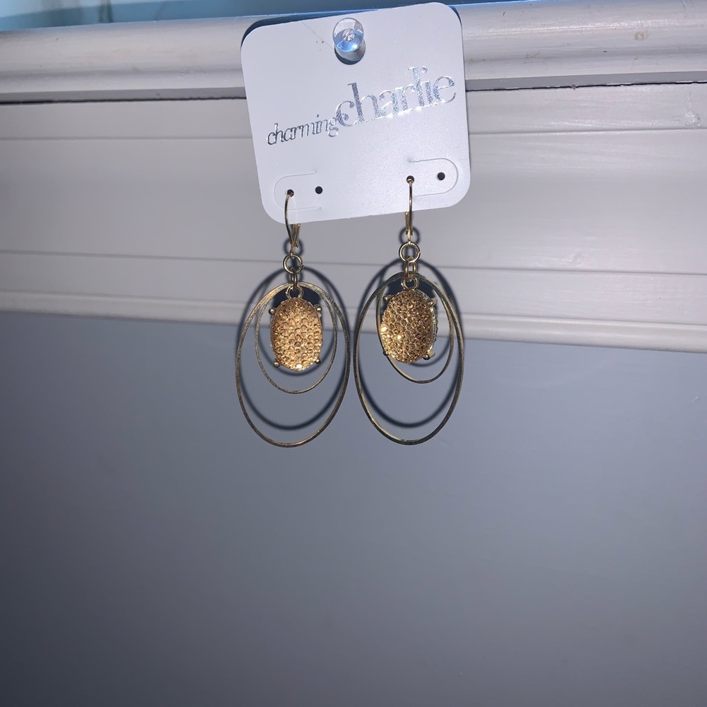 Charming Charlie’s Dangly Earrings